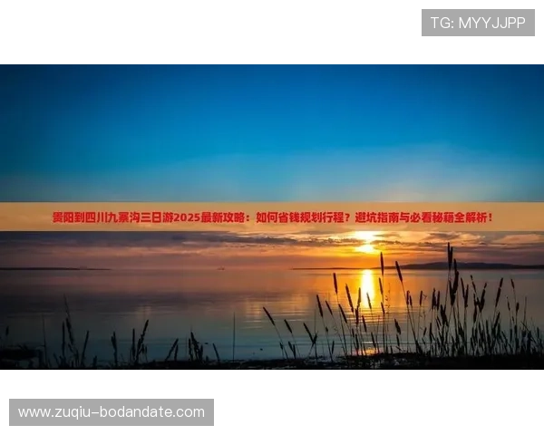 开云玩球登录网页彩票与数字高频玩法防骗避坑指南